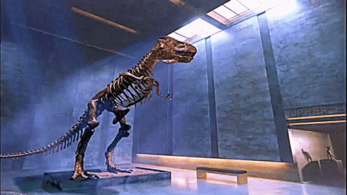Night At The Museum Skeleton Dino GIF