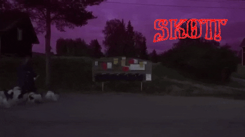 Night Dog Walking GIF