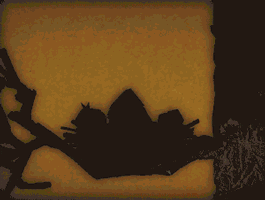 Night Sky Birds Animation GIF