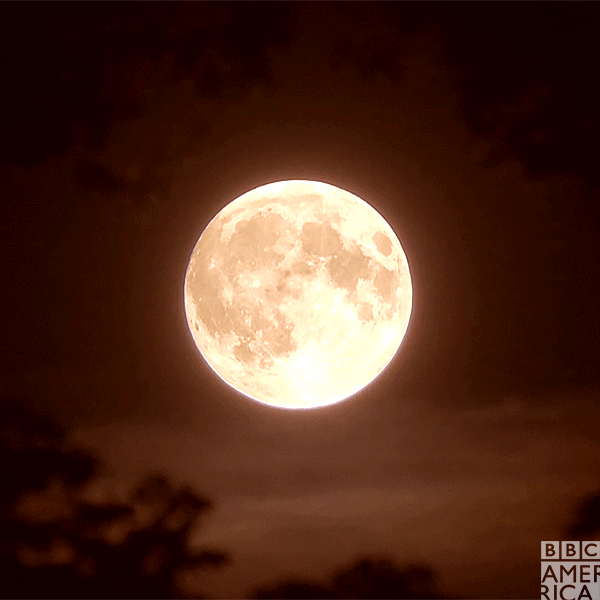 Night Sky Bloody Moon Bbc America GIF
