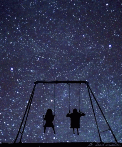 Night Sky Shooting Star Couple Swing GIF