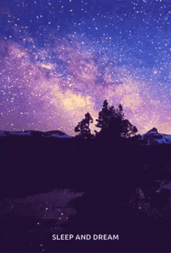 Night Sky Stars Galaxy Dream GIF