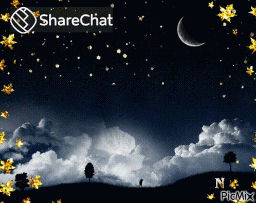 Night Sky with Crescent Moon and Stars