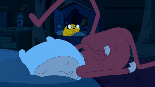 Night Snoring Finn Adventure Time GIF