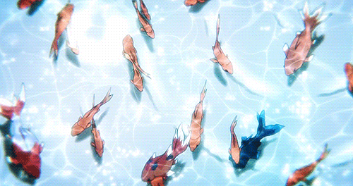 Night Tempo Koi Fish Meme GIF