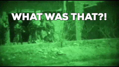 Night Vision What Was That GIF