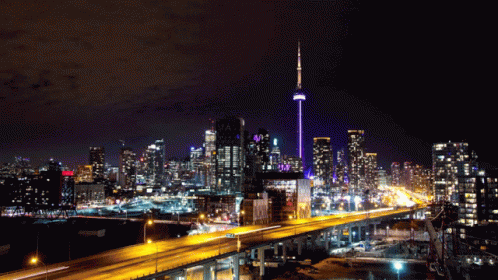 Nighttime City View with CN Tower