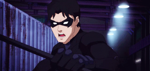 Nightwing Battle Stance Young Justice GIF