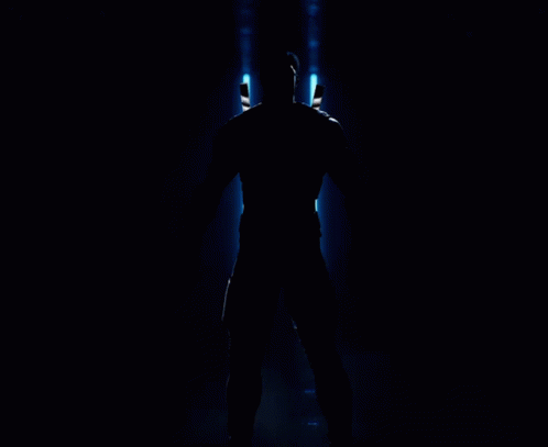 Nightwing Dick Grayson Fighting Stance GIF