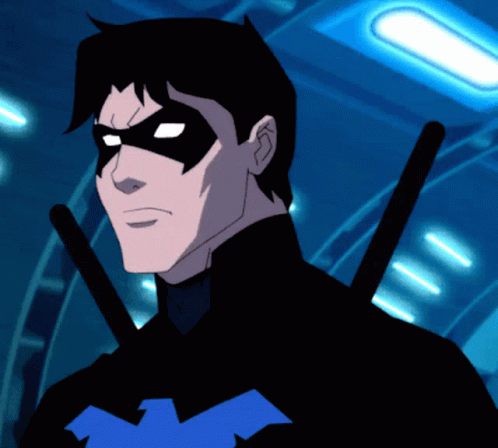Nightwing Domino Mask Dick Grayson GIF