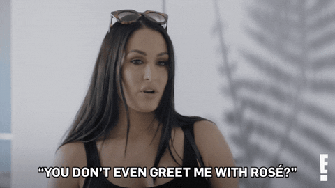 Nikki Bella Don't Greet Me The Bellas GIF