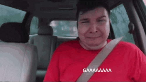 Nikocado Avocado Screaming Inside Car GIF