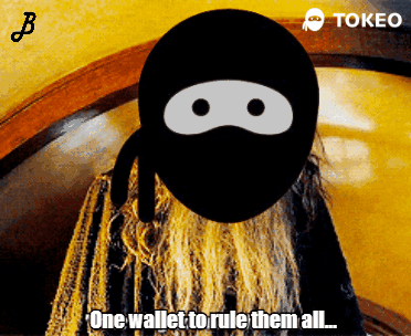 Ninja Cartoon With Words One Wallet to Rule Them All