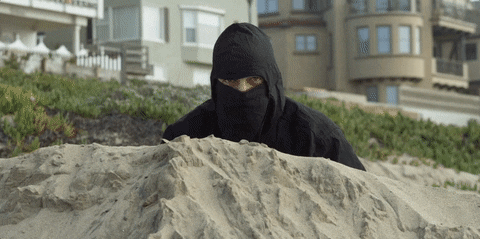 Ninja Spy At The Beach GIF