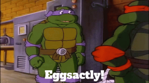 Ninja Turtle Donatello Eggsactky Tmnt GIF