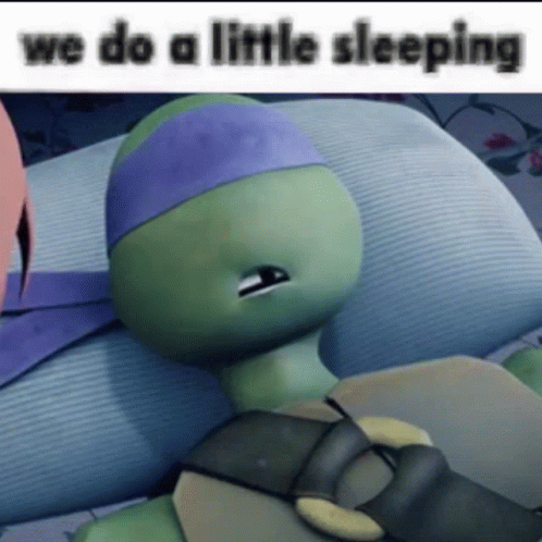 Ninja Turtle Donatello Sleeping Tmnt GIF