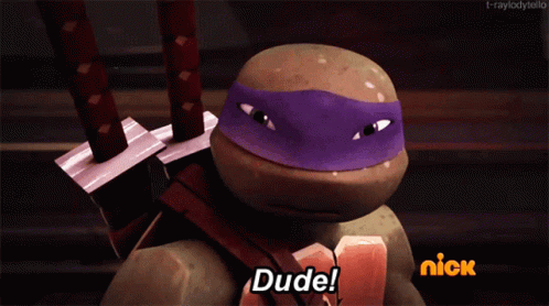 Ninja Turtle Teenage Days Tmnt Donatello Dude GIF