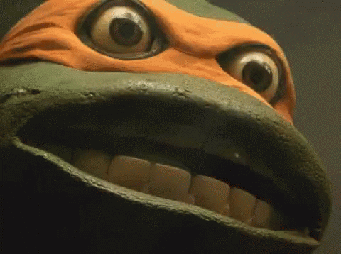 Ninja Turtle Tmnt Michel Angelo Face Freeze GIF