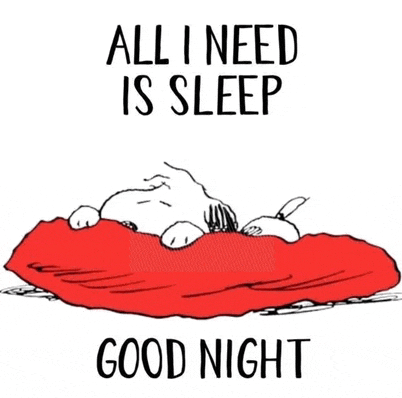 Nite Nite Good Nite Meme GIF