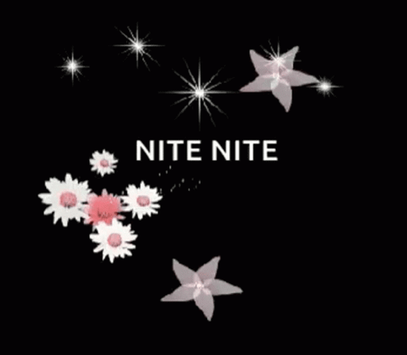 Nite Nite Night Stars Heart Flowers Floating GIF