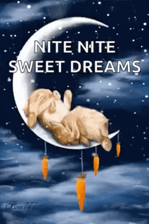 Nite Nite Sleeping Bunny On The Moon GIF