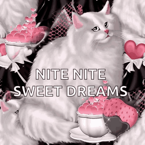 Nite Nite Sweet Dreams Cute White Cat Cartoon GIF