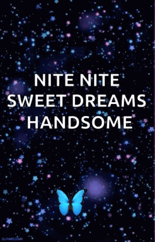 Nite Nite Sweet Dreams Handsome Butterfly Poster GIF