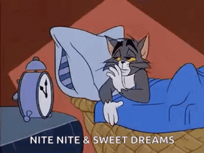 Nite Nite Sweet Dreams Sleepy Tom Cat GIF