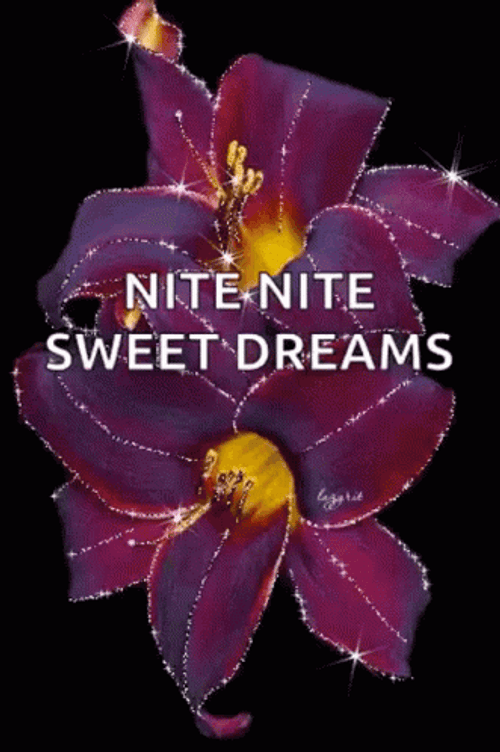 Nite Nite Sweet Dreams Sparkling Purple Poinsettia GIF