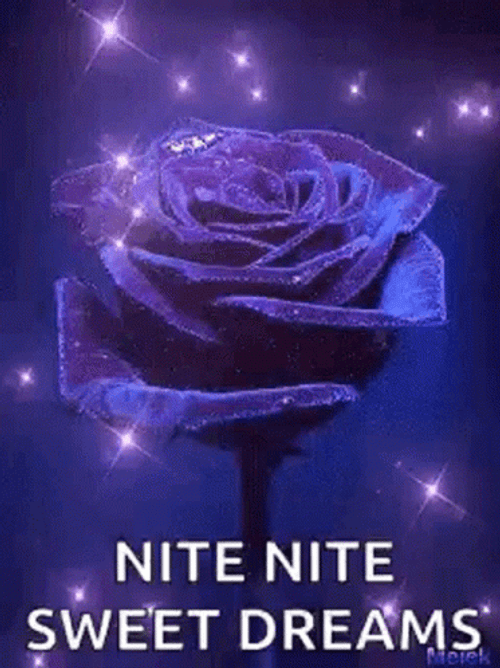 Nite Nite Sweet Dreams Sparkling Rose GIF