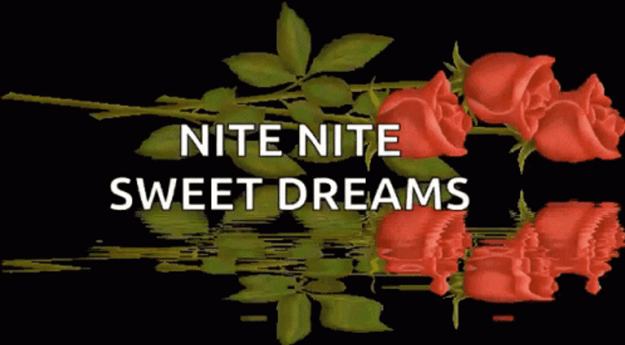 Nite Nite Sweet Dreams Three Pink Roses Reflection GIF