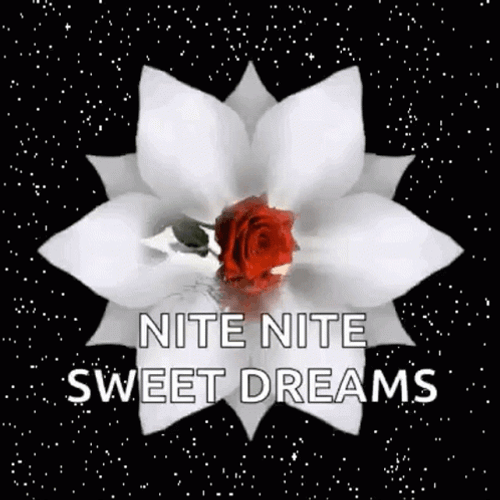 Nite Nite Sweet Dreams White Flower Night Sky GIF