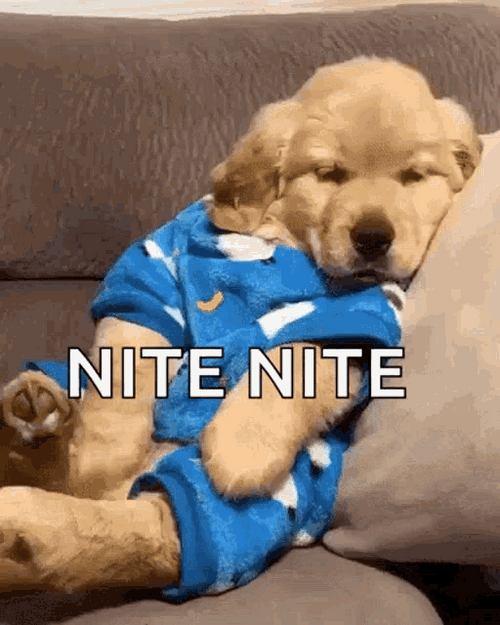 Nite Nite Yawning Golden Retriever Puppy GIF
