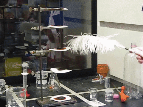Nitrogen Triiodide Detonation Chemical Reaction GIF