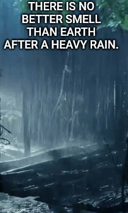 No Better Smell Than Earth After Heavy Rain Poster GIF