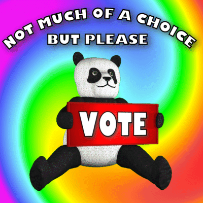 No Choice But Please Vote GIF