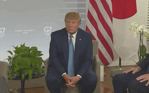 No Comment Donald Trump GIF
