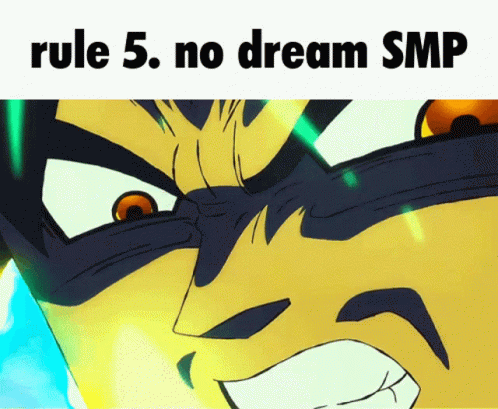 No Dream Smp Rule No. 5 GIF