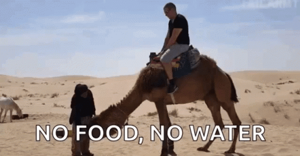 No Food No Water Desert GIF