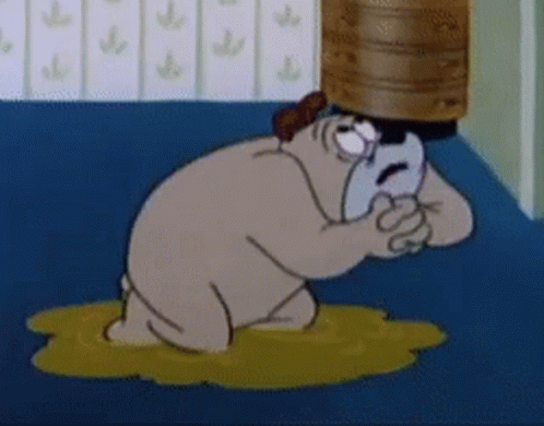 No God No Praying Dog GIF