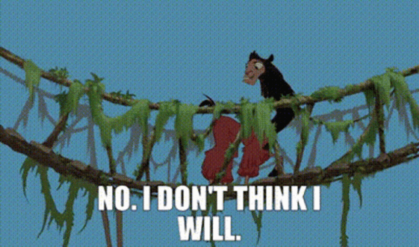 No I Don't Think I Will Cartoon Alpaca GIF