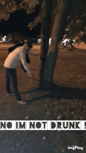 No I'm Not Drunk Meme GIF