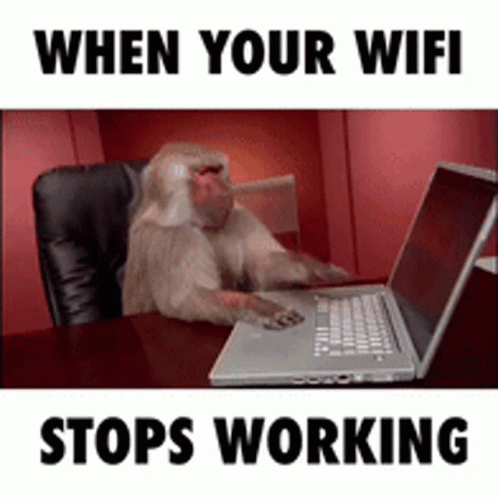 No Internet Stop Working Monkey GIF