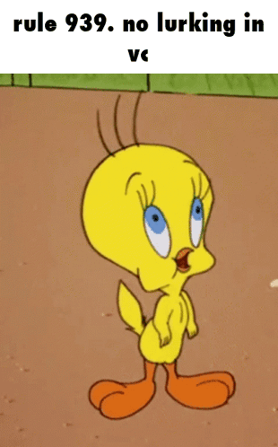 No Lurking In Video Call Tweety GIF