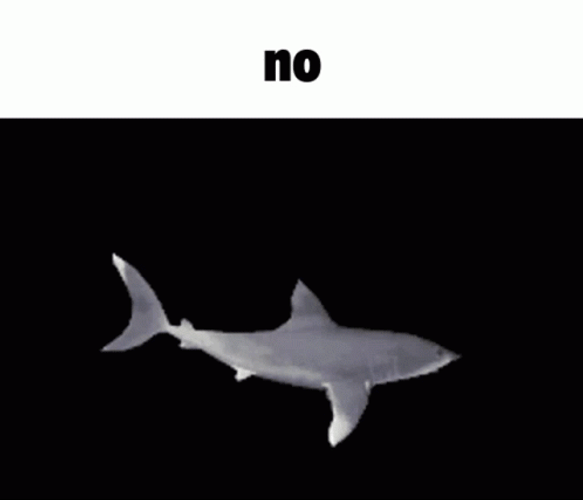 Baby Shark Memes GIF