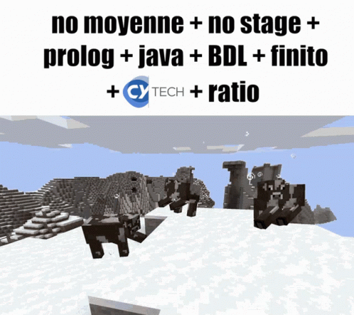 No Moyenne No Stage Prolog Java Bdl Finito GIF