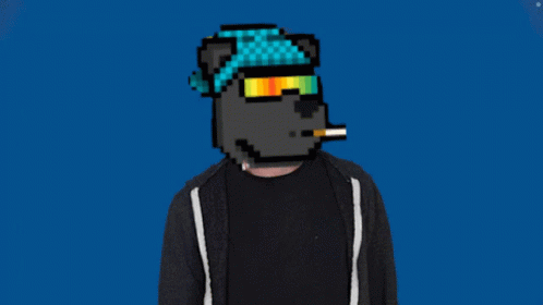 Boulder Bear No No GIF