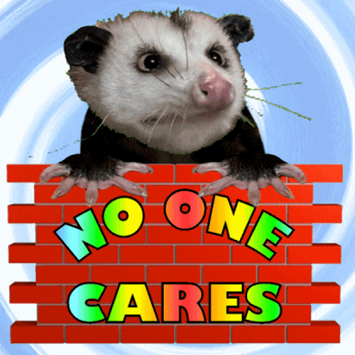 No One Cares Virginia Opossum Animal Animation GIF