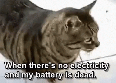 No Power Chubby Cat Passing Out Meme GIF