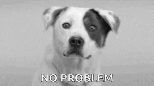 No Problemo Smiling Dog GIF